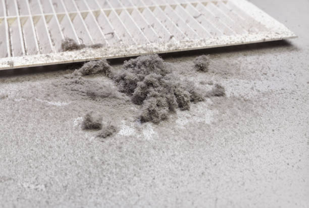 Best Commercial Air Duct Cleaning  in Heidelberg, TX