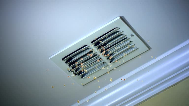 Best HVAC Duct Inspection Services  in Heidelberg, TX